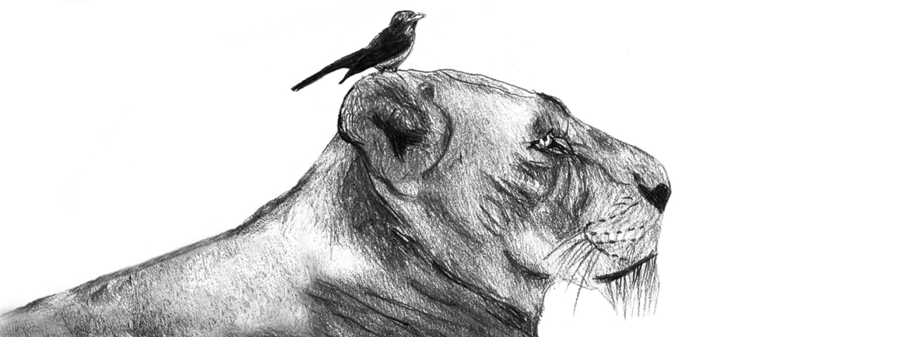 balance-the-self-and-the-world